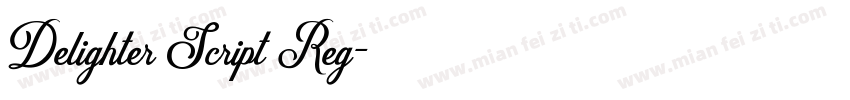 Delighter Script Reg字体转换